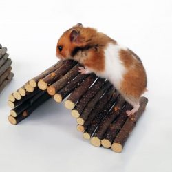 Guinea Pig Wooden Arch Bridge, House or Tunnel