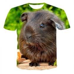 Womens, Mens and Childrens Guinea Pig 3D Print T-Shirts Short sleeve
