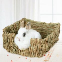 Guinea Pig Grass Nest Hand-woven Pet Bed