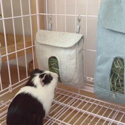 Guinea Pig Hay Feeding Feed Bag