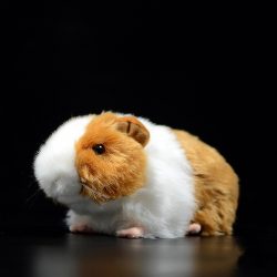 Guinea Pig Soft Plush Toy